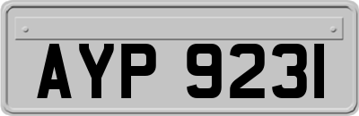 AYP9231