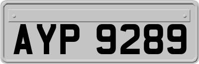 AYP9289