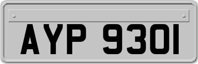 AYP9301