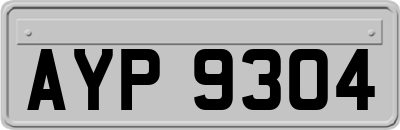 AYP9304