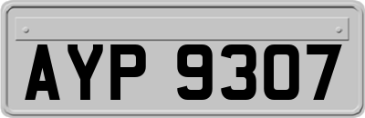 AYP9307