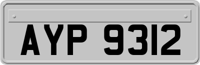 AYP9312