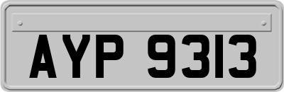 AYP9313