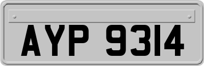 AYP9314