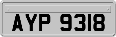 AYP9318