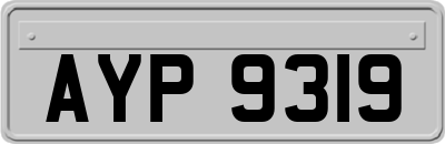 AYP9319