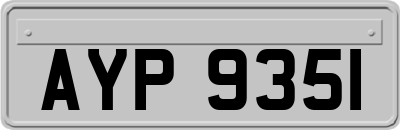 AYP9351