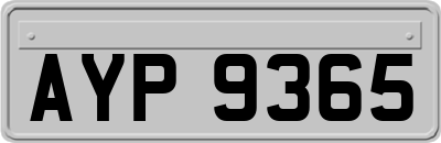 AYP9365