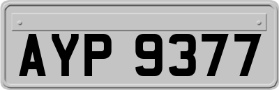 AYP9377