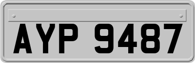 AYP9487