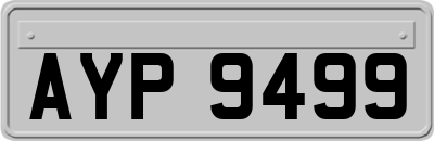 AYP9499