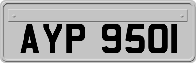 AYP9501