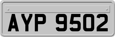 AYP9502