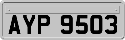 AYP9503