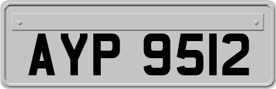 AYP9512