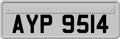 AYP9514