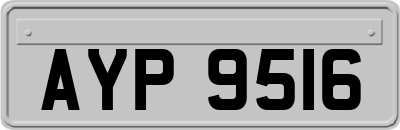 AYP9516