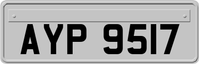 AYP9517