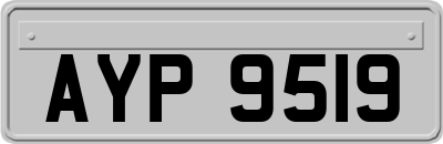 AYP9519