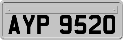 AYP9520