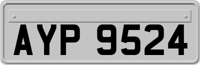 AYP9524