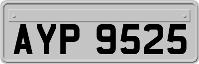 AYP9525