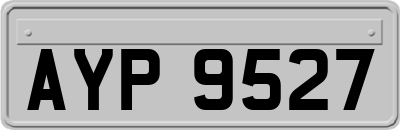 AYP9527