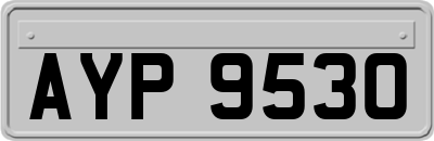 AYP9530