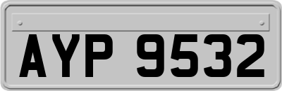 AYP9532