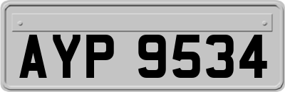 AYP9534