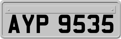 AYP9535