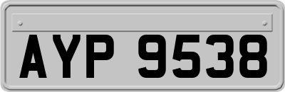 AYP9538