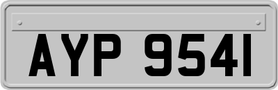 AYP9541