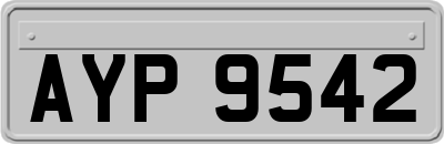 AYP9542