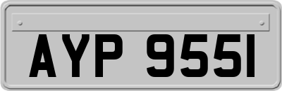 AYP9551