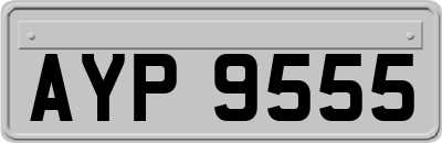 AYP9555