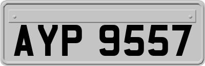 AYP9557