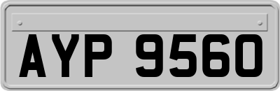 AYP9560