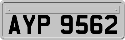 AYP9562