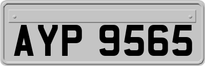 AYP9565