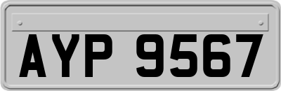 AYP9567