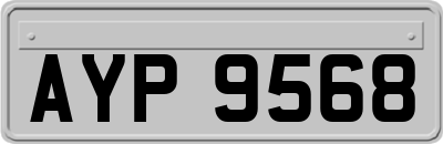 AYP9568