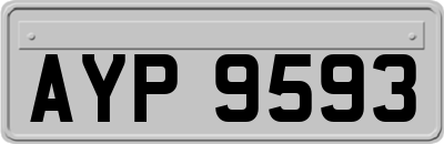 AYP9593