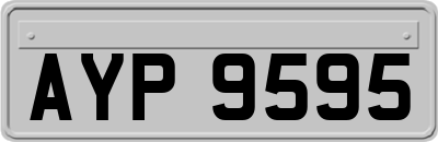 AYP9595