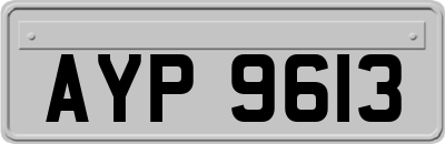 AYP9613