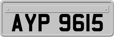 AYP9615