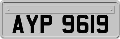 AYP9619