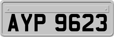 AYP9623