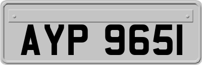 AYP9651