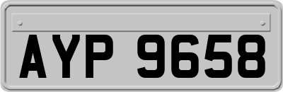 AYP9658